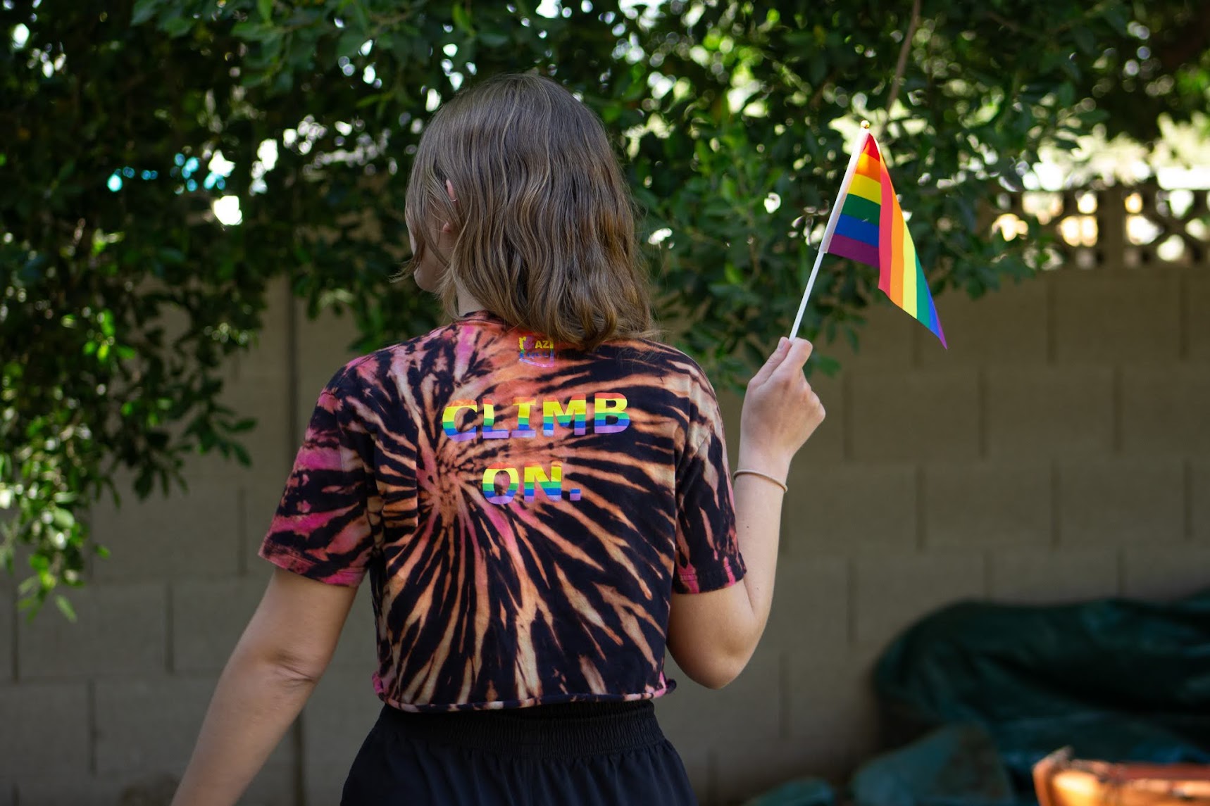 AZ QCC Cropped T-shirt